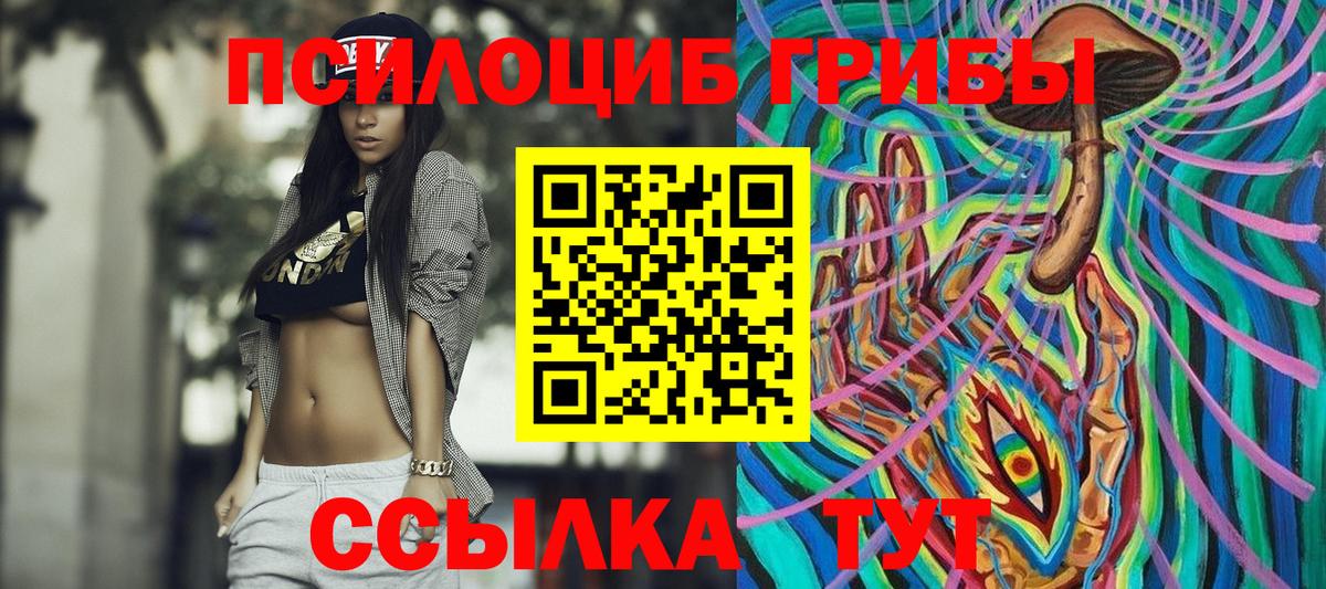 Балашов  Галлюциногенные грибы Psilocybe  Вход с VPN 